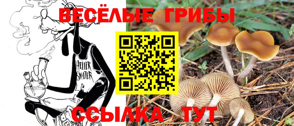 Псилоцибиновые грибы ЛСД  Вход с VPN  Вязьма 