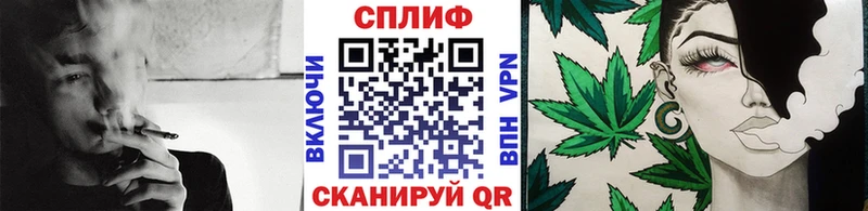 ссылка на мегу маркетплейс  Вязьма  Конопля SATIVA & INDICA 